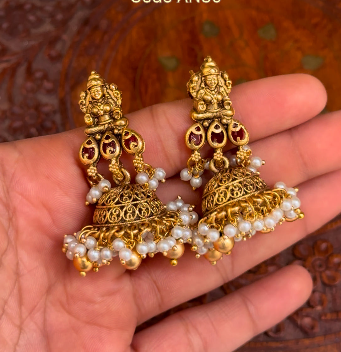 Antique Lakshmi Choker Set with Earrings AN30